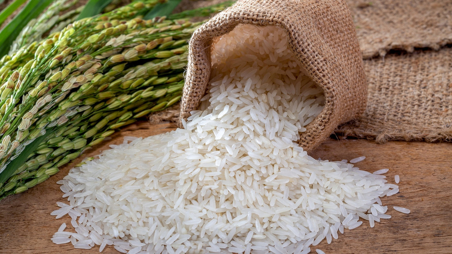 Hausmittel gegen Feuchtigkeit: Salz, Reis oder doch ein Granulat-Entfeuchter?