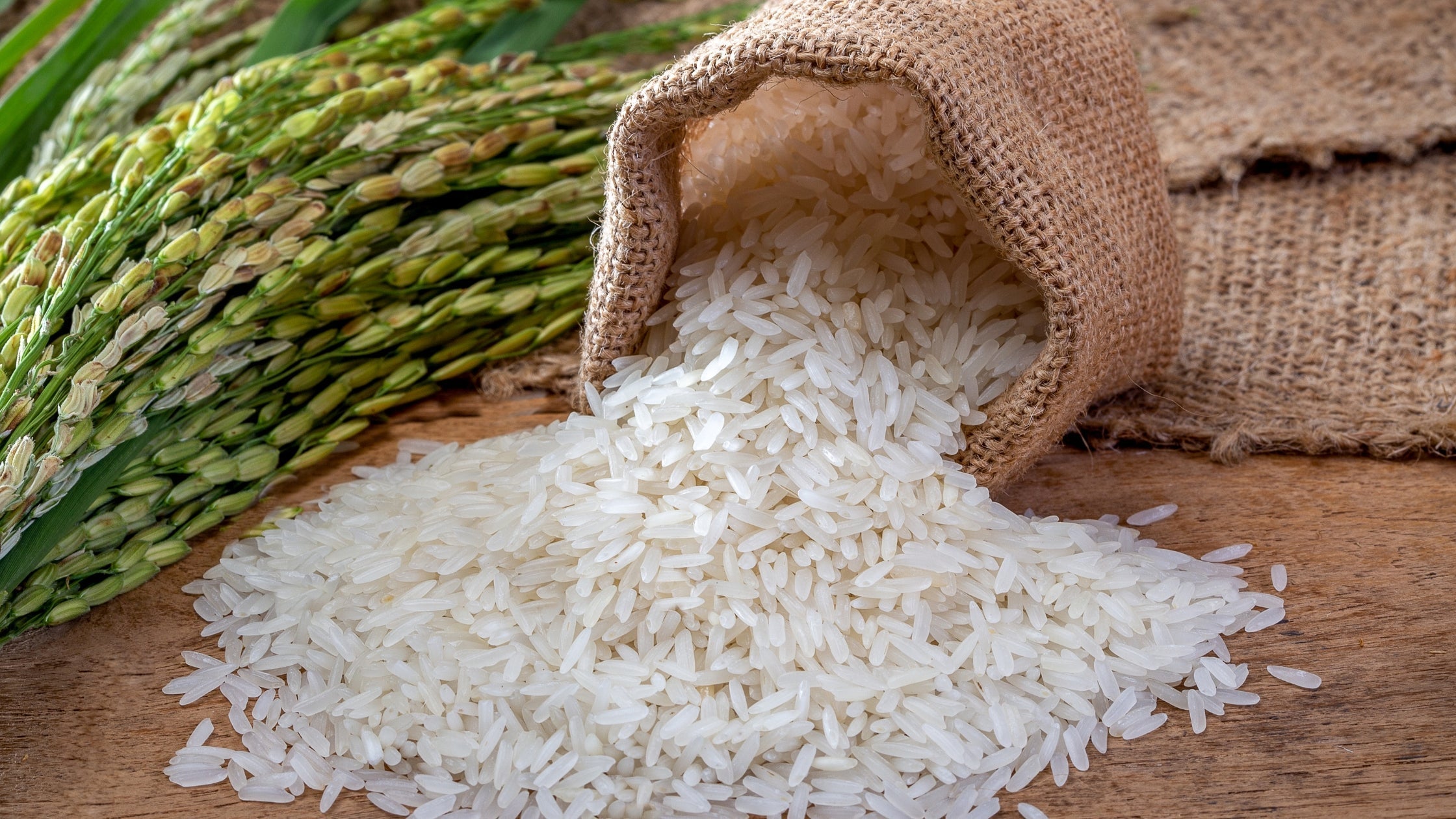 Hausmittel gegen Feuchtigkeit: Salz, Reis oder doch ein Granulat-Entfeuchter?