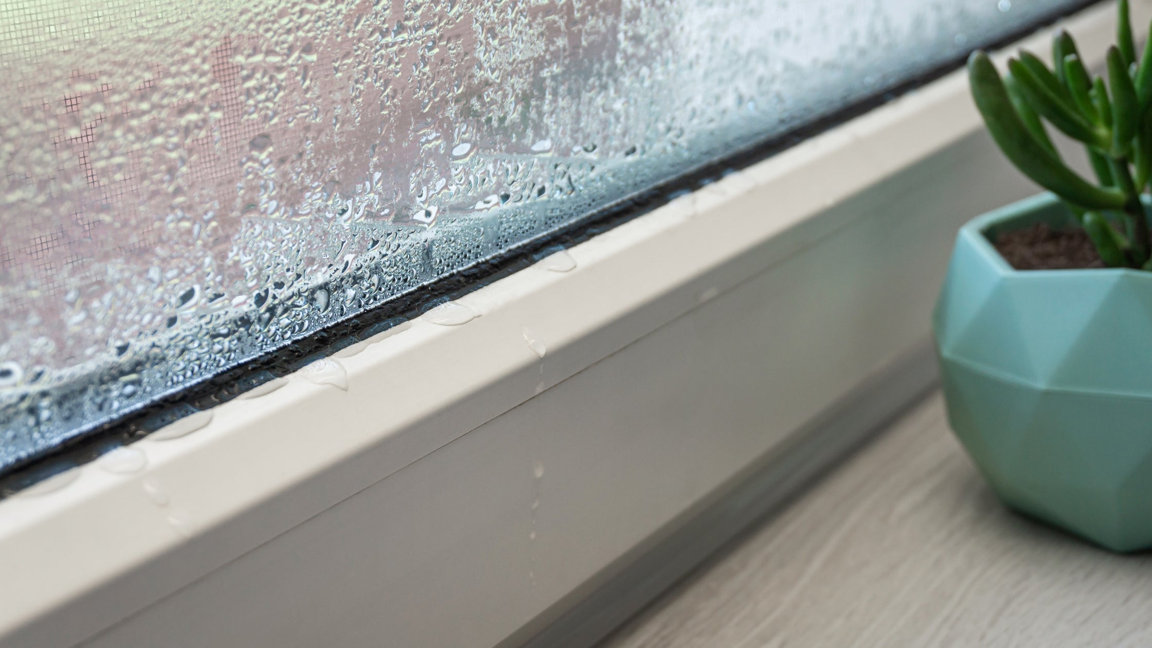 Feuchte Fenster – Was tun? Ursachen & Lösungen
