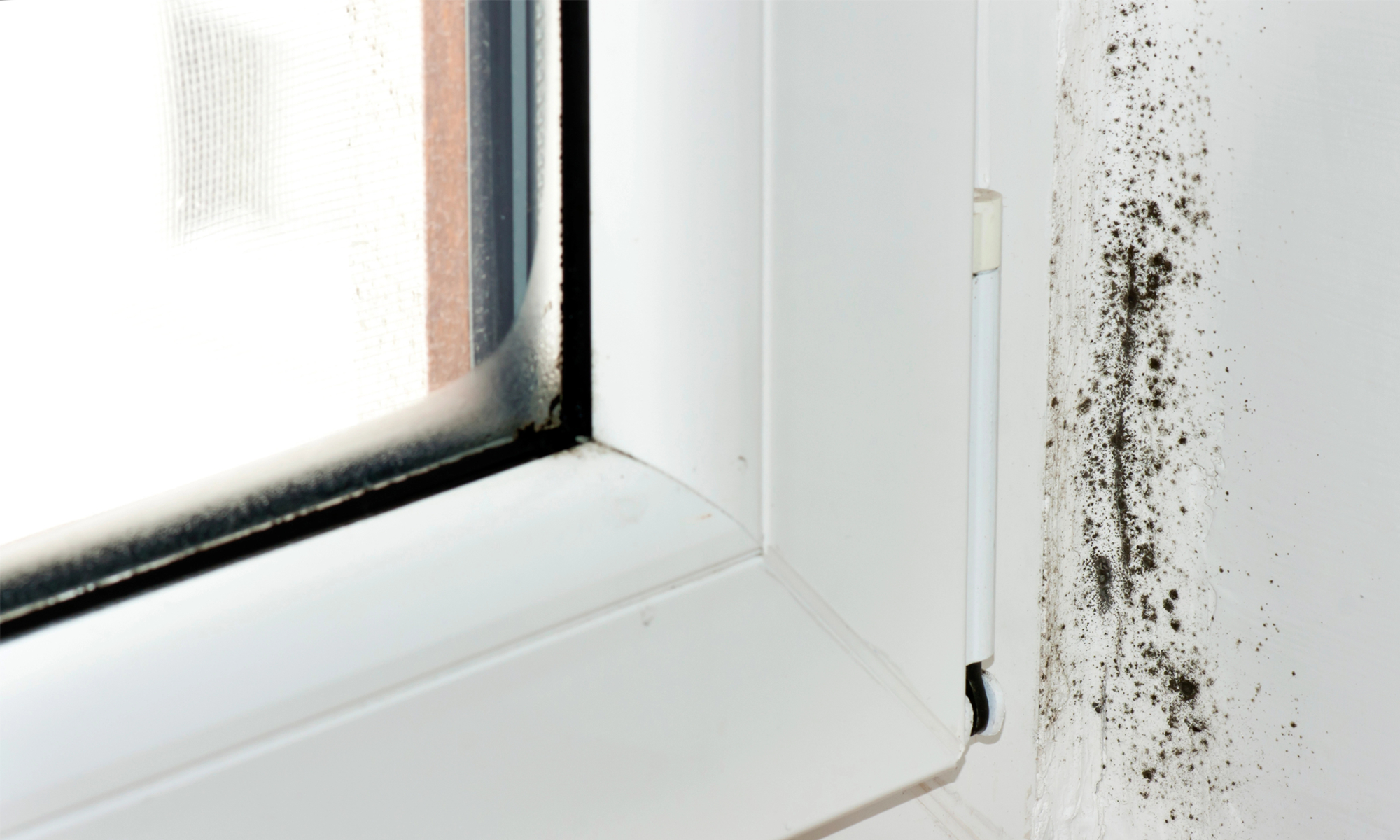 Calcium-Chlorid-Nachfüllpacks für Luftentfeuchter: Wie sie funktionieren und warum sie effektiv sind