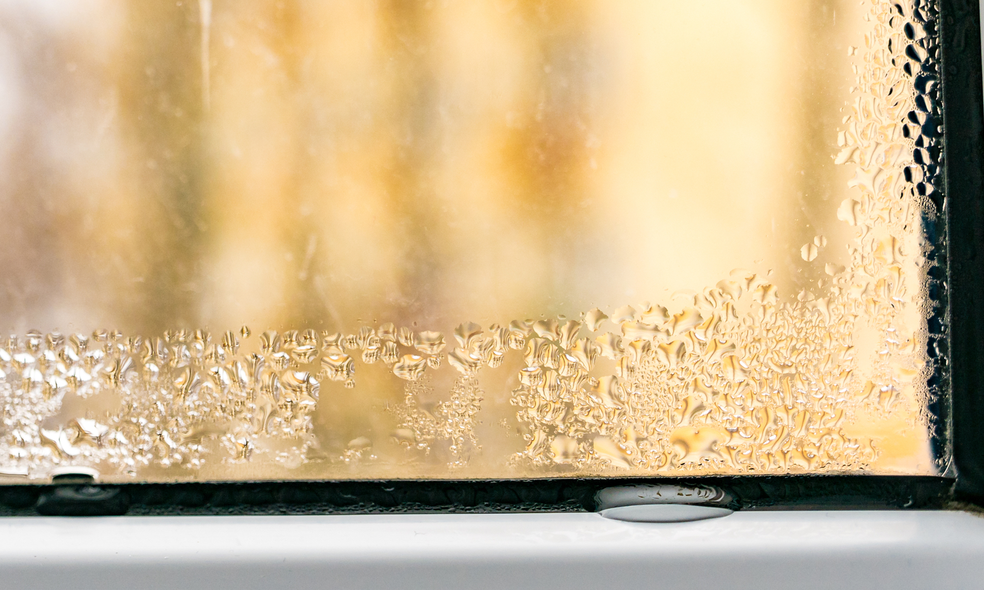 Warum ist Luftfeuchtigkeit ein Problem? Ursachen, Folgen und Lösungen